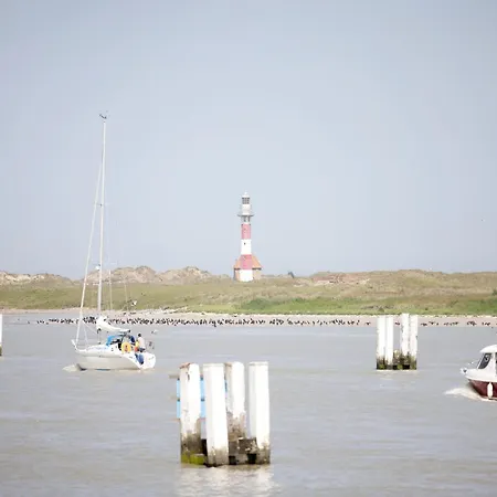 Apartment In Near The